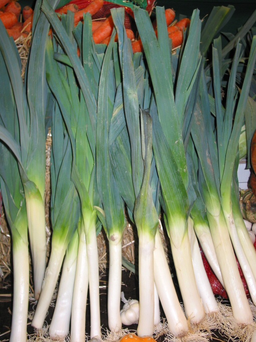 Poireaux au potager
